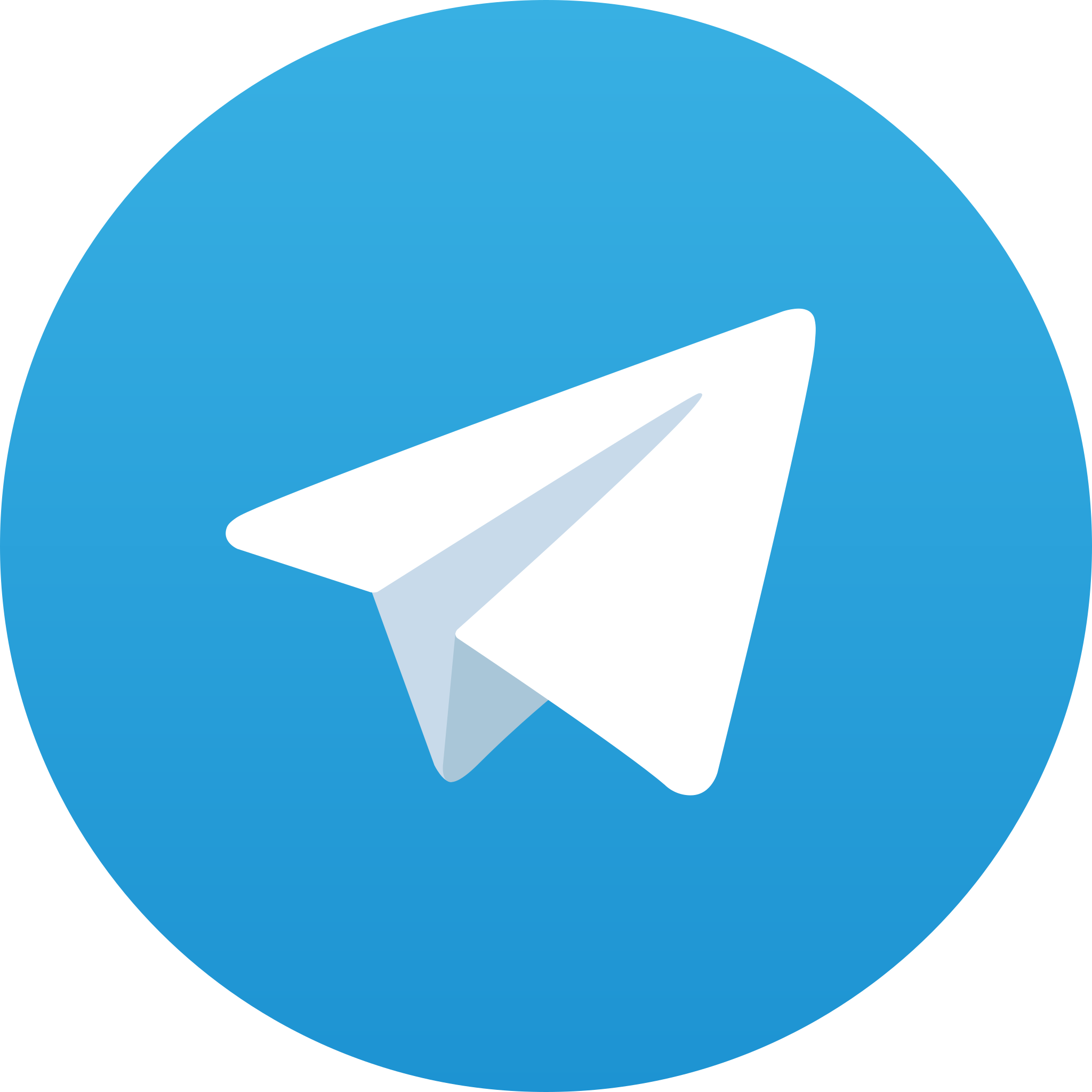 Telegram Logo.svg